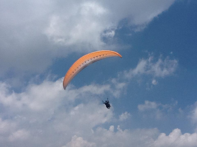  Fliegen in Veracruz 